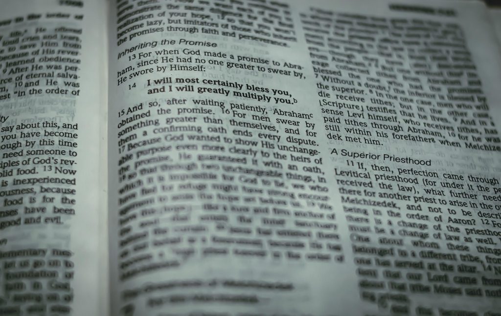 bible, bible verse, page, bible reading, hebrews, scripture, christianity, faith, religion, spirituality, closeup, bible, bible verse, bible verse, bible verse, bible verse, bible verse, hebrews, hebrews, hebrews, scripture